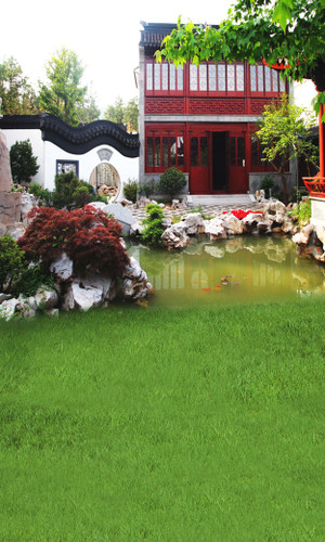 Zen Garden Backdrop