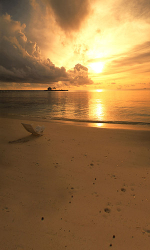 Sunset over the Atlantic Backdrop