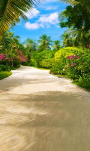 Tropical Fantasy Path Backdrop
