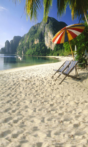 Tropical Hideaway Backdrop