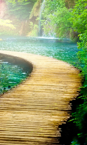 Tropical Walkway Backdrop