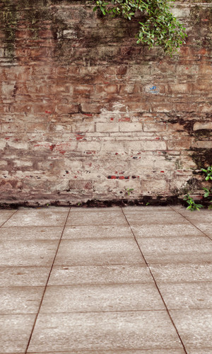 Bedraggled Brick Wall Backdrop