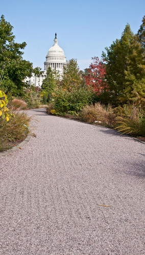 Garden View Capitol Backdrop