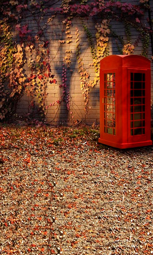 Autumn Ivy Backdrop