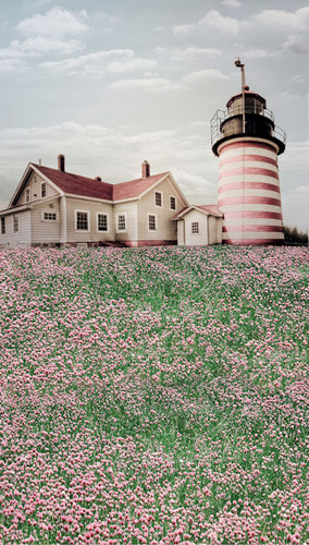 Lighthouse in Flowers Backdrop
