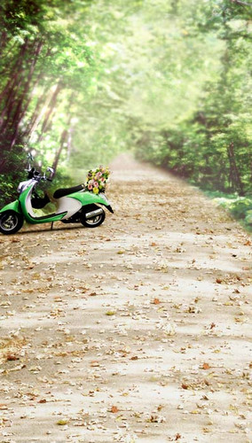 Leafy Green Road Backdrop