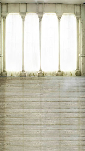 Delightful Dance Hall Backdrop