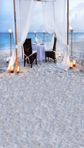 Engagement on the Beach Backdrop