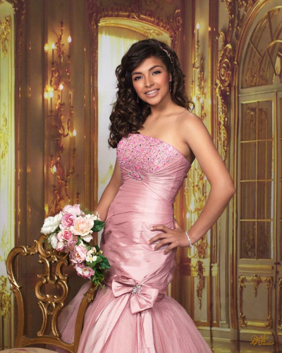 French Ballroom Backdrop