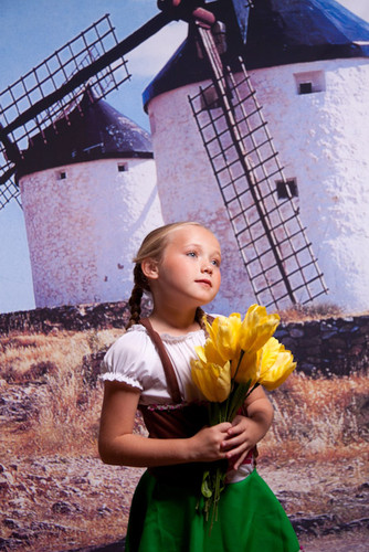 Old Dutch Windmills Backdrop