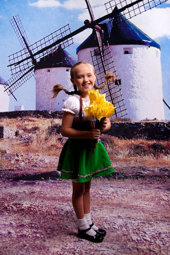 Old Dutch Windmills Backdrop