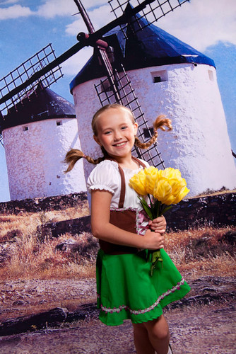 Old Dutch Windmills Backdrop