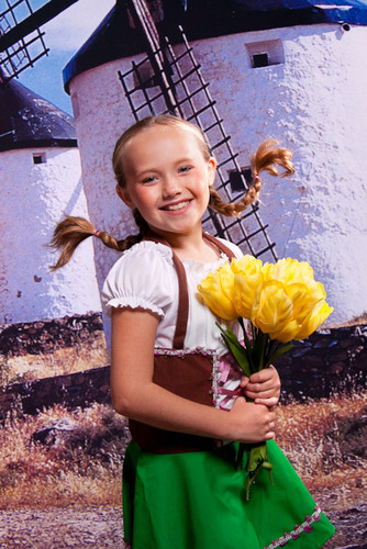 Old Dutch Windmills Backdrop