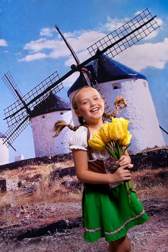 Old Dutch Windmills Backdrop