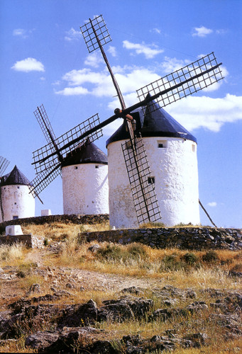 Old Dutch Windmills Backdrop