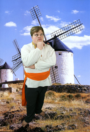 Old Dutch Windmills Backdrop