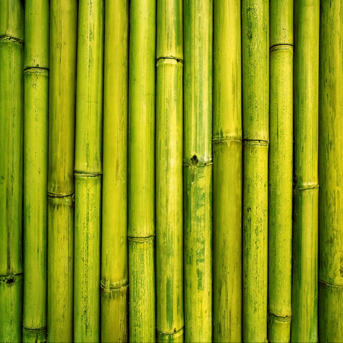 Green Bamboo Floor