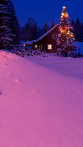 Christmas Tickled Pink Backdrop