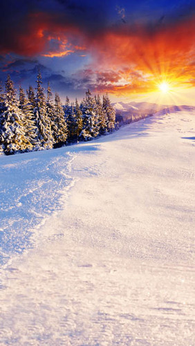 Christmas Sunburst Backdrop