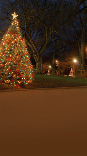 Christmas Neighborhood Backdrop