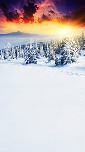 Sunburst Mountain Backdrop