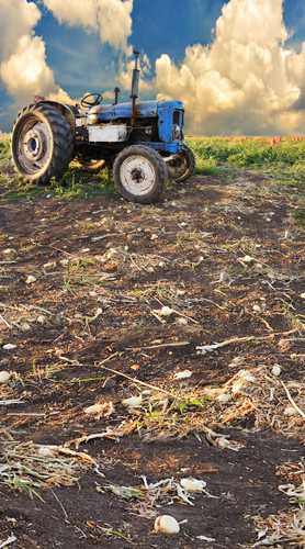 Old Blue Tractor Backdrop