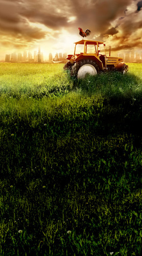 Tractor's Twilight Backdrop