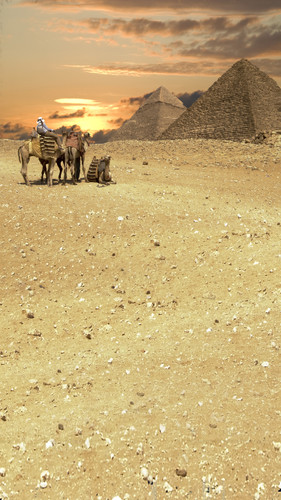 Pyramids At Sunset Backdrop