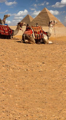 Pyramid Transportation Backdrop