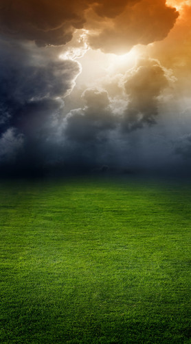 Cloudy Field Backdrop
