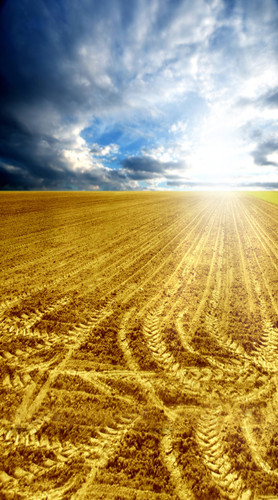 Tracked Field Backdrop