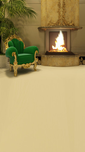 Elegant Fireplace Backdrop