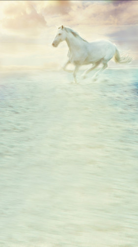 Surreal White Horse Backdrop