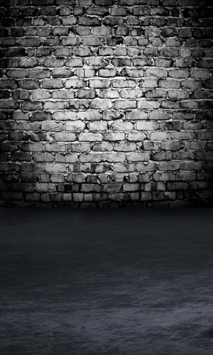 Cold Brick Wall Backdrop