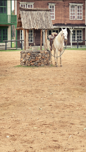 Watering Well Backdrop