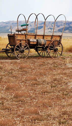 Wagon Trail Backdrop