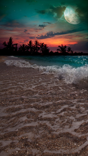 Tropical Sunset Backdrop