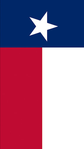 Texas Flag Backdrop