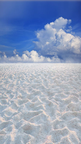 Sand Flats Backdrop