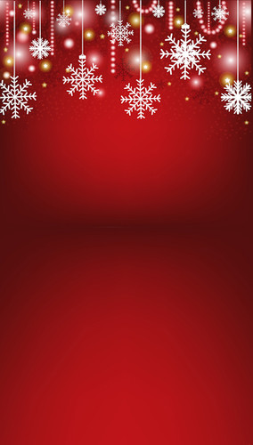 Snowflake Christmas Backdrop