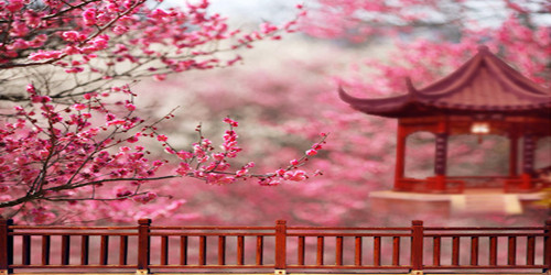 Spring Pagoda Wide Format