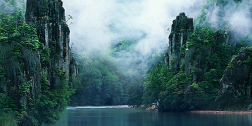 Misty River Wide Format