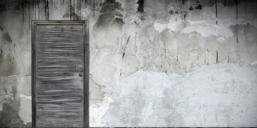 Derelict Room Wide Format