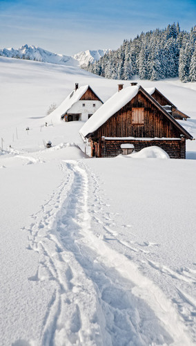 Snow Covered Cabin Backdrop