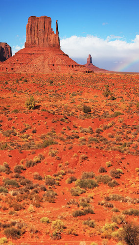 Monument Valley Desert Backdrop