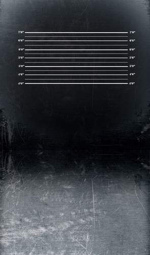 Dark Mugshot Backdrop