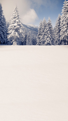 Snowy Mountain Top Backdrop