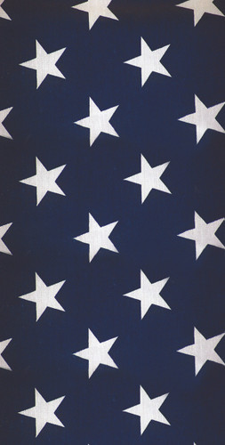 USA Stars Backdrop