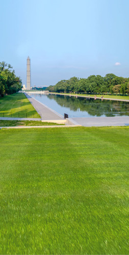 Washington Monument Backdrop