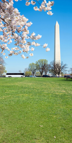Spring Monument Backdrop
